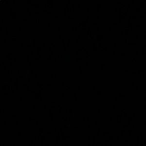 Meet your Posher, Donta